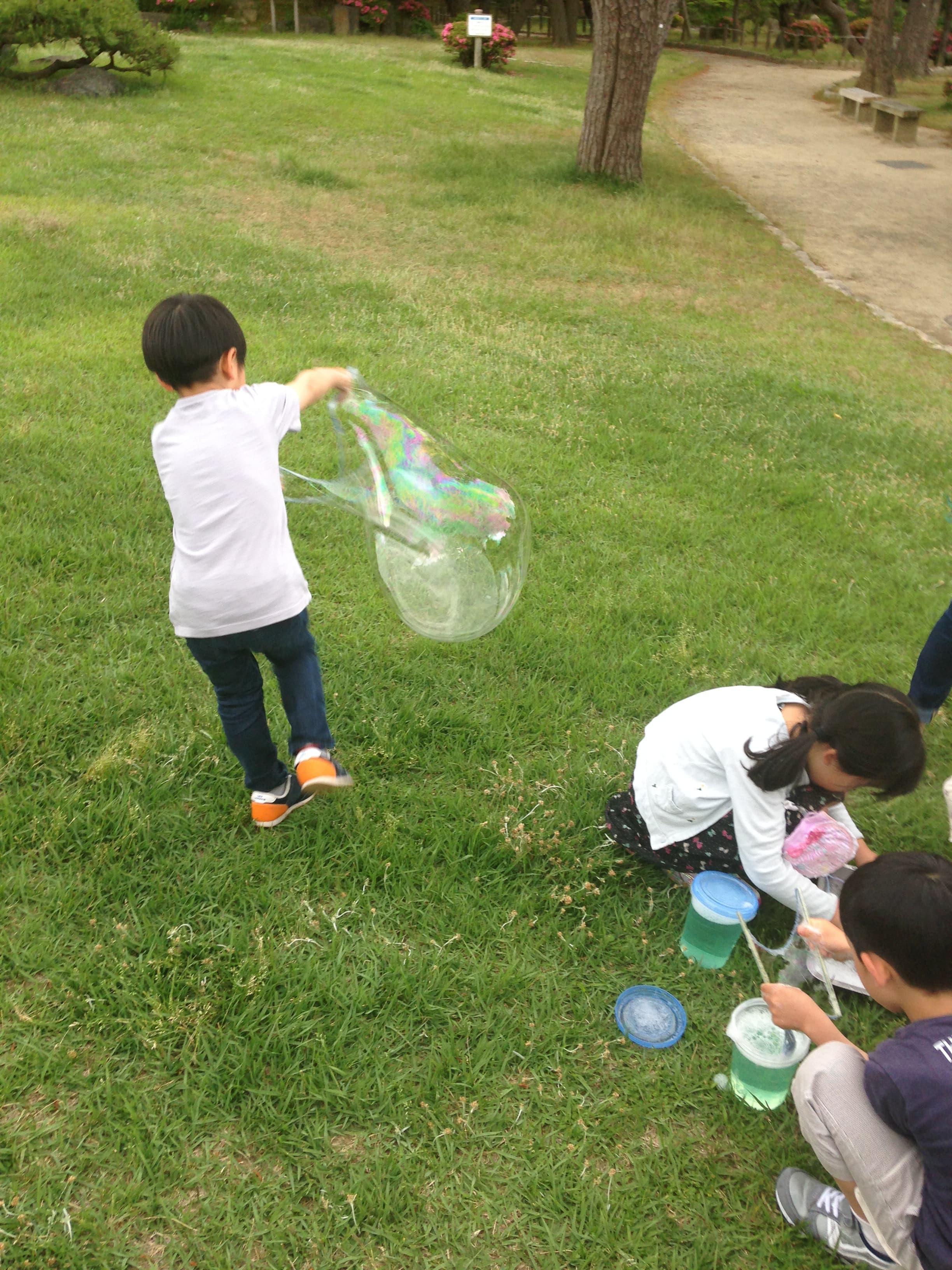 bubbles.jpg