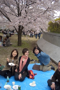 hanami2.JPG