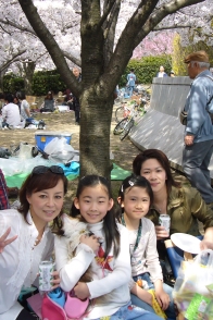 hanami1.JPG
